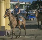 Police Horses - Eastern