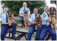 Handlers and their dogs