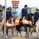 Horse Riders - Counties Mankau