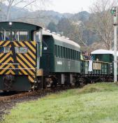 Train Trip - Waikato