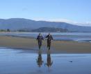 Beach Run - Tasman