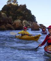 Kayaking - Tasman