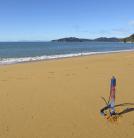 Torch - Tasman