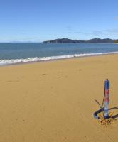 Torch - Tasman