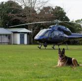 Police Dog and Chopper - Auckland