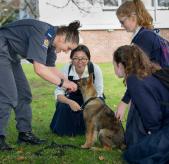 School Kids with Police Puppy - Auckland