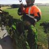 Snr Constable Dave Kirk pulls the last plant on board the Iroquois