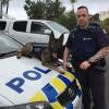 Dakota and handler Constable Stu Rota