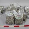 Drugs seized during Operation ZIPPO