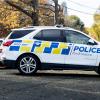A Skoda police dog van