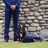 Police patrol dog graduation