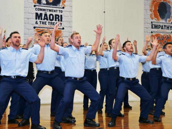 317 haka