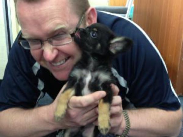 Eye ball to eye ball: the puppy investigates getting glasses