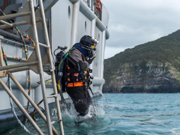 Navy diver ADR Luke Gordon from the Royal New Zealand Navy (RNZN) Operational Dive Team (ODT) enters the water in Akaroa Harbour