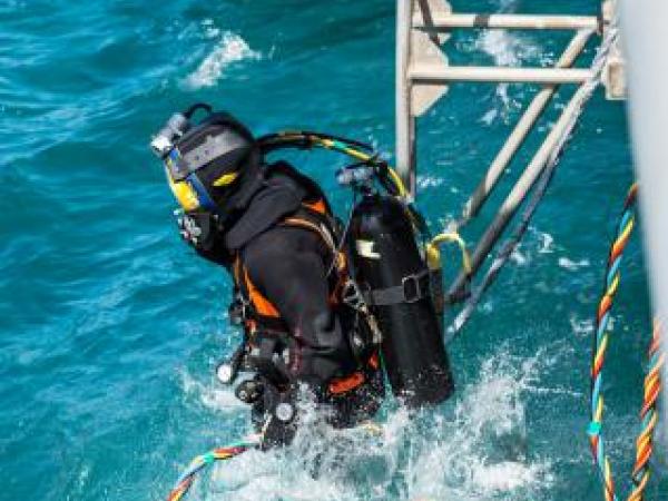 Navy diver ADR Kyran Bennett from the Royal New Zealand Navy (RNZN) Operational Dive Team enters the water in Akaroa Harbour