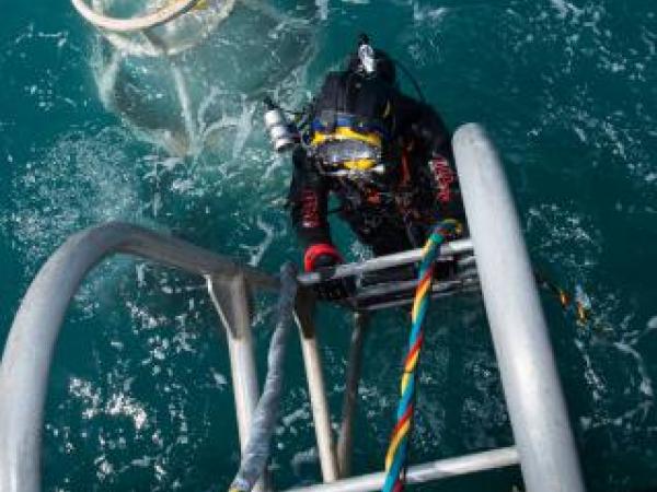 Navy diver ADR Luke Gordon from the Royal New Zealand Navy Operational Dive Team climbs back on board the HMNZS MANAWANUI