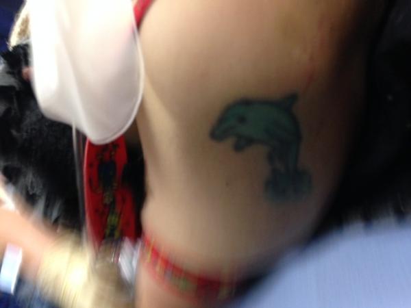 Dolphin tattoo