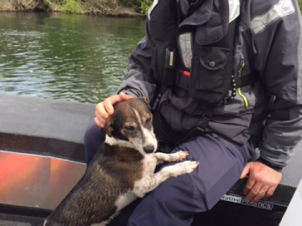 Sergeant Craig Kennedy and the dog rescued from the Waikato River