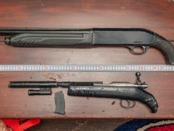 Firearms seized, Operation Rubus