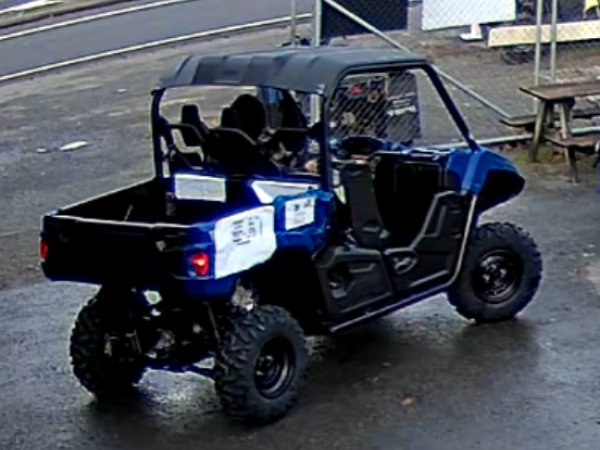 Police seeking information after vehicle theft in Tokoroa
