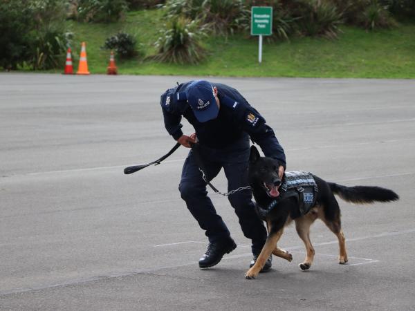 Patrol Dog training in progress