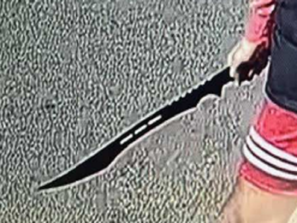 Police have recovered this weapon allegedly used in the assault