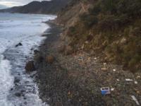 Wreckage from the boat washed ashore