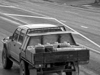 Police seeking sightings of ute following sighting of Tom Phillips