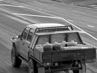Appeal for sightings of ute in Tom Phillips' matter 