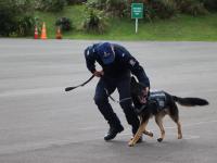 Patrol Dog training in progress